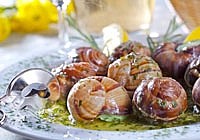 Фестиваль удиток в Вене