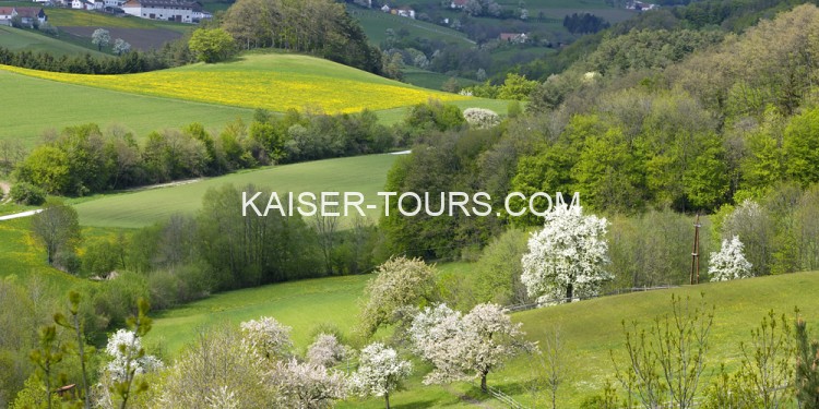Экскурсия Бургенланд из Вены – наследие династии Эстерхази (летний период)