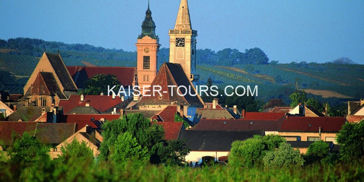 Экскурсия Бургенланд из Вены – наследие династии Эстерхази (летний период)