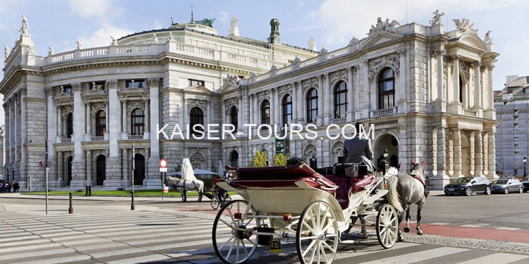 Трансфер, аэропорт - отель (Вена)