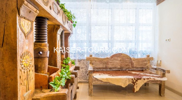 Отель Enziana Hotel Vienna (Австрия, Вена)