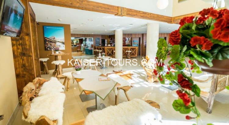 Отель Enziana Hotel Vienna (Австрия, Вена)