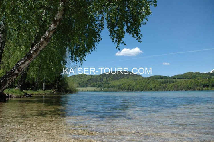 Apart-Pension Wesenauerhof ★★★★