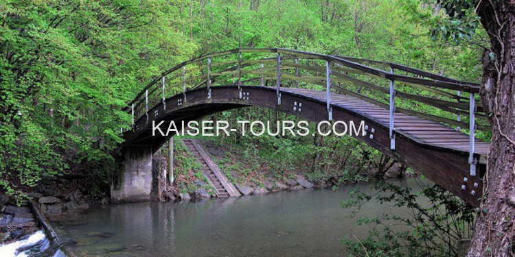 Мост в Венском лесу