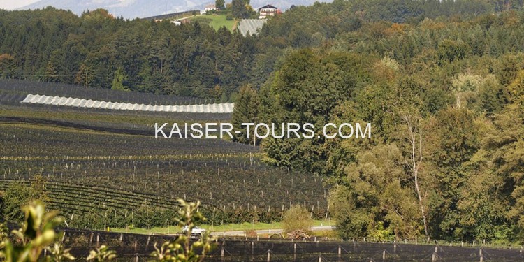 Экскурсия яблочная долина из Вены