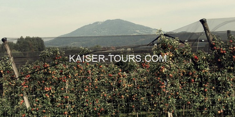 Экскурсия яблочная долина из Вены