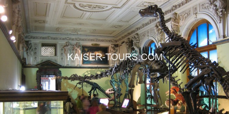 Экскурсия в естественно-исторический музей с ужином