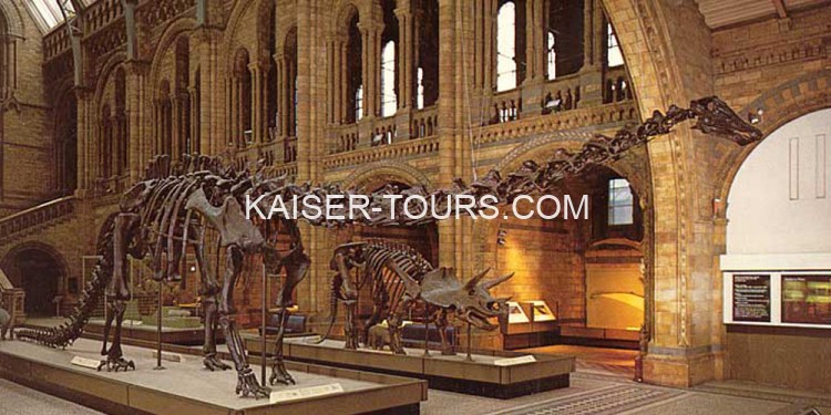 Экскурсия в естественно-исторический музей с ужином