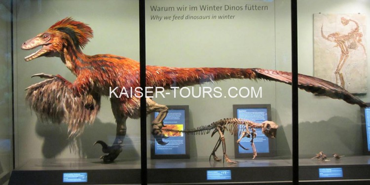 Экскурсия в естественно-исторический музей с ужином