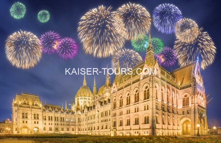 Новогодний ужин в Вене