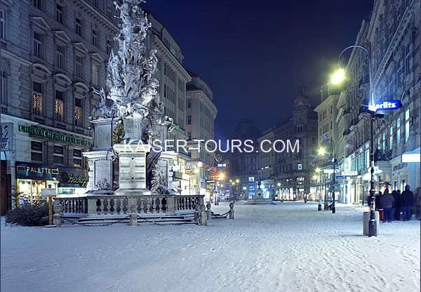 Экскурсия ночная Вена с новогодним ужином