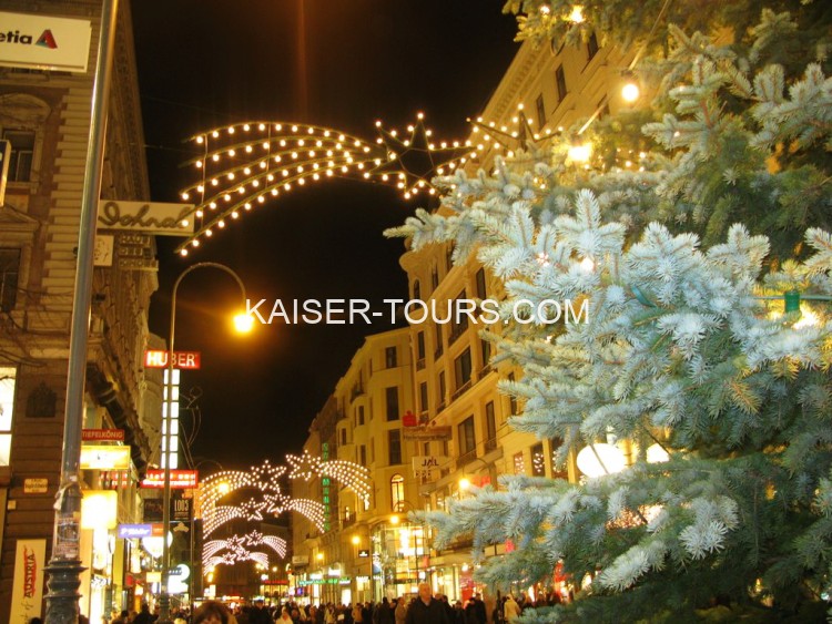 Экскурсия ночная Вена с новогодним ужином