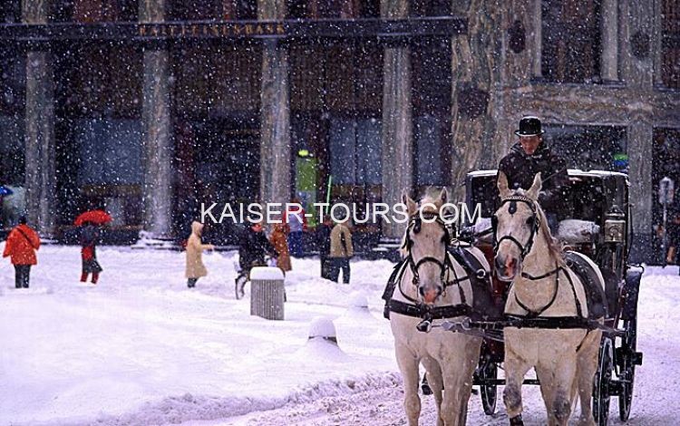 Пешеходная экскурсия по Вене на новый год