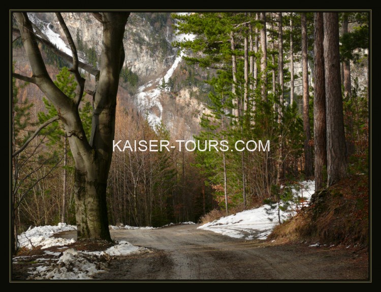 Экскурсия венский лес на новый год