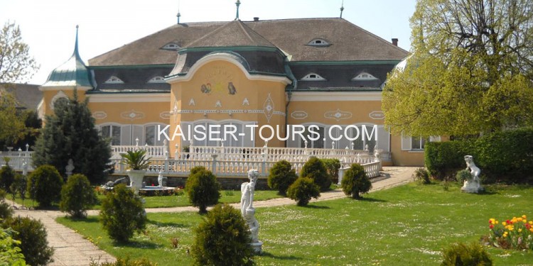 Свадьба в Винограднике Кобенцль