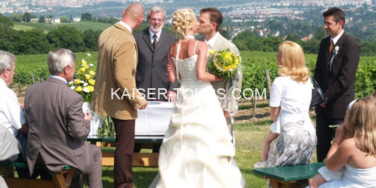 Свадьба в Винограднике Кобенцль