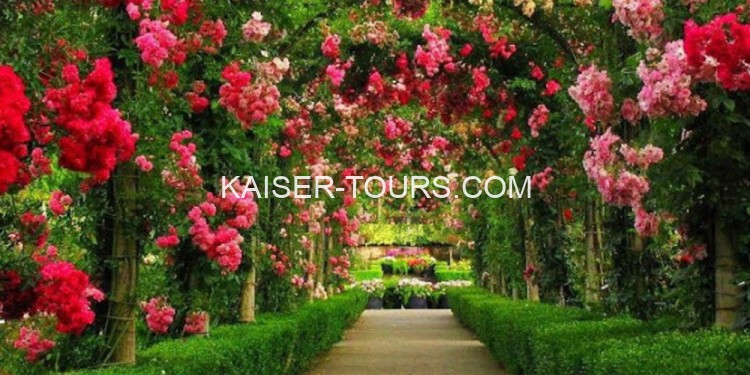 Свадьба в Цветочных садах Хиршштеттен