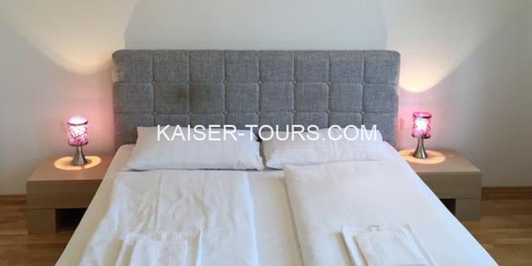 Отель Amici Apartments * (Австрия, Вена)