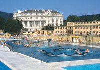 Терма курорт Баден Вена