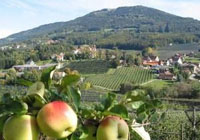 /sait/dostoprimechatelnosti-avstrii/yablochnaya-doroga 